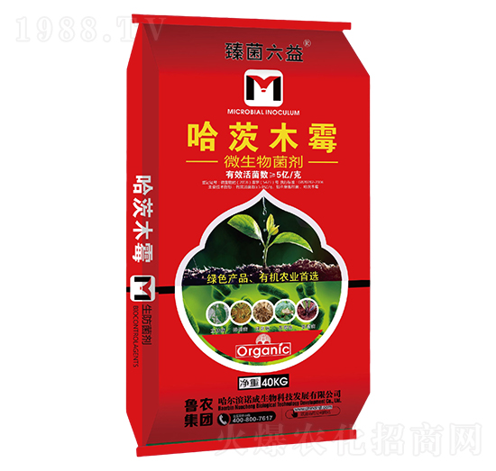 ����ľù΢�������-�������-���r���F