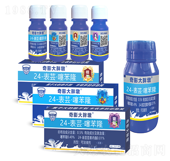 0.5%24-表蕓·噻苯隆可溶液劑-奇膨大胖墩-瀚正益農(nóng)