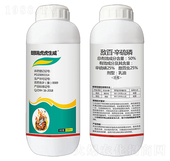 50%���١�������-���𻢻�����-��������