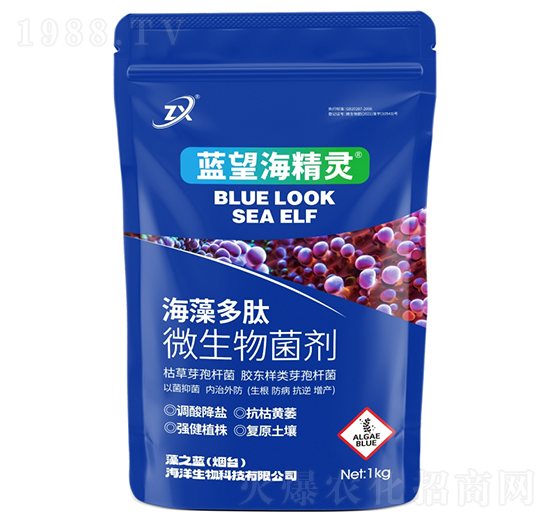 海藻多肽微生物菌劑-藍望海精靈-藻之藍