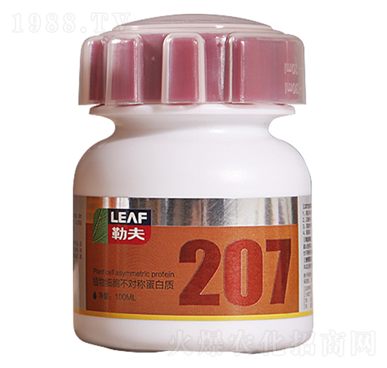 207植物細(xì)胞不對稱蛋白質(zhì)-勒夫