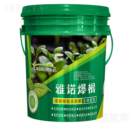 雅諾爆根-雅斯諾