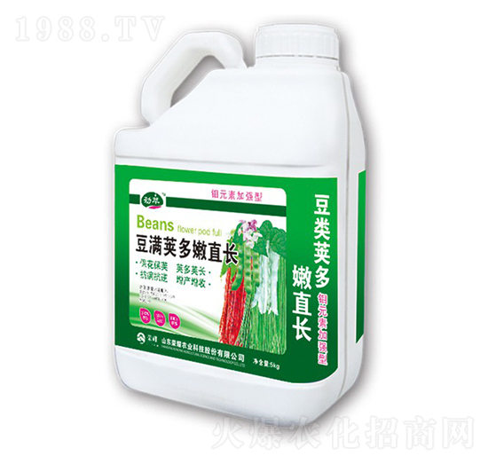 豆?jié)M莢多嫩直長-勁萃-榮耀農(nóng)業(yè)