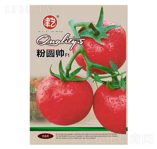 番茄種子-粉圓帥-邯豐農(nóng)業(yè)