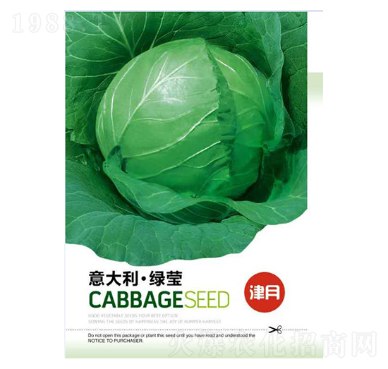 甘藍種子-意大利綠瑩-邯豐農(nóng)業(yè)