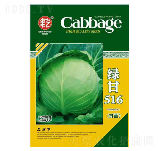 甘藍種子-綠甘516-邯豐農(nóng)業(yè)