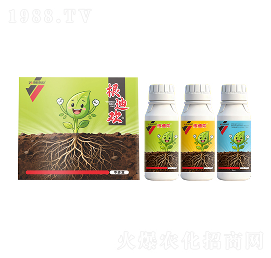 根迪歡-中新友合