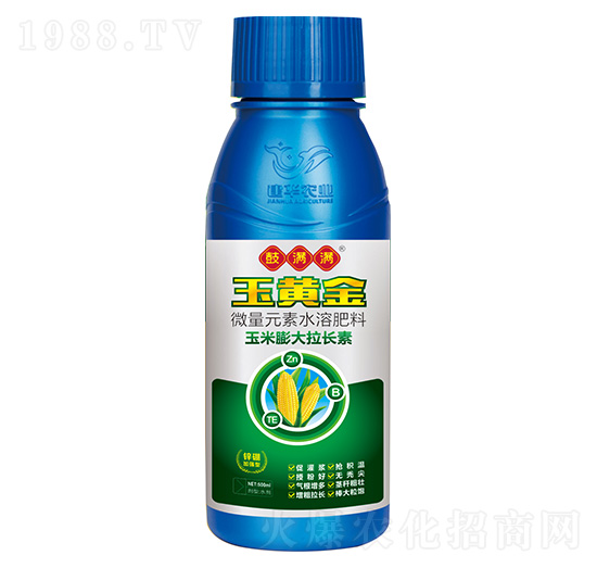 玉米膨大拉長(zhǎng)素-玉黃金-鼓滿滿-建華農(nóng)業(yè)