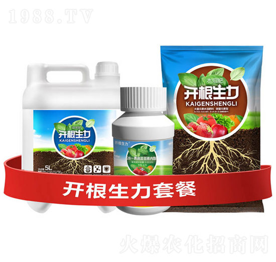 開(kāi)根生力套餐F-云大科技