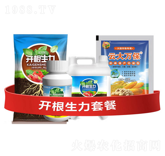 開根生力套餐A-云大科技