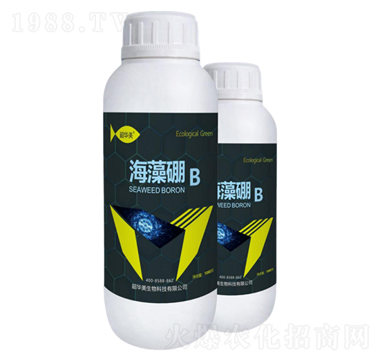 海藻硼-韶華美