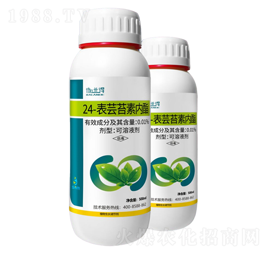 0.01%24-表蕓苔素內酯-韶華美