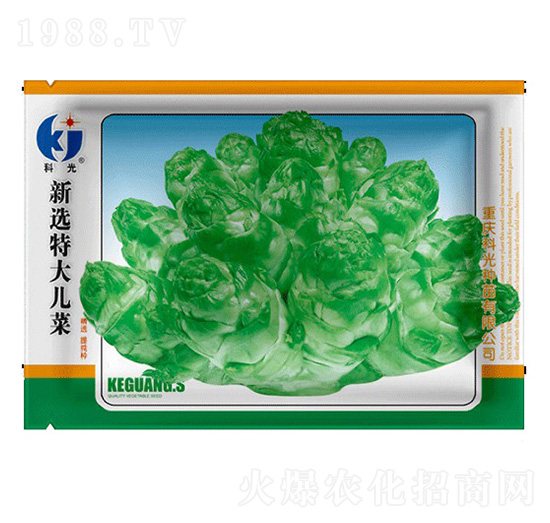 新選特大兒菜-科光種苗