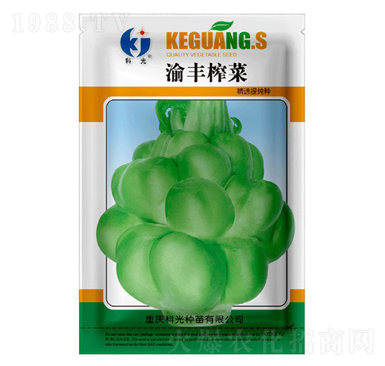 渝豐榨菜-科光種苗