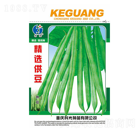 精選供豆-科光種苗