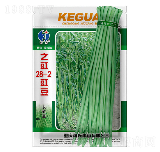 豇豆28-2-之豇-科光種苗