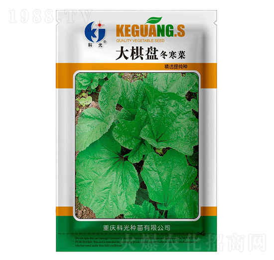 ����P(p��n)������-�ƹ�N��