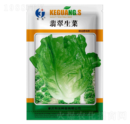 翡翠生菜-科光種苗