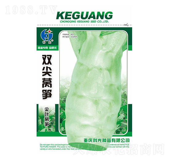 雙尖萵筍-科光種苗