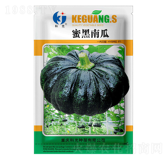 �ۺ��Ϲ�-�ƹ�N��