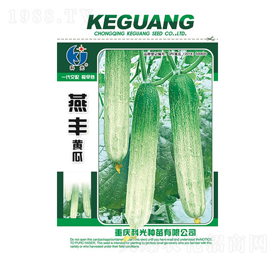 燕豐黃瓜-科光種苗