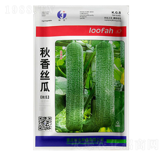 秋香絲瓜-科光種苗