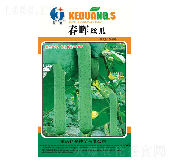 春暉絲瓜-科光種苗
