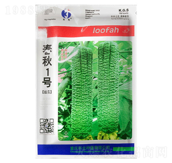 春秋1號(hào)絲瓜-科光種苗