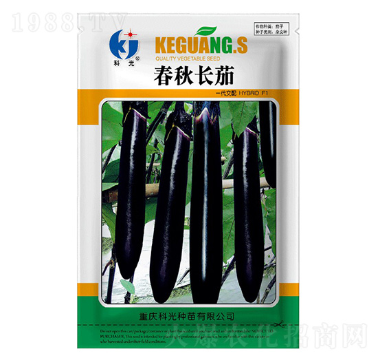 春秋長茄-科光種苗