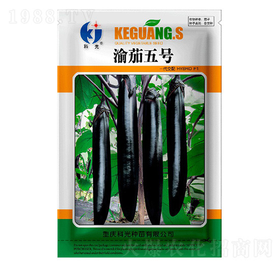 渝茄5號-科光種苗