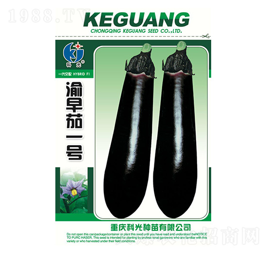 渝早茄1號-科光種苗