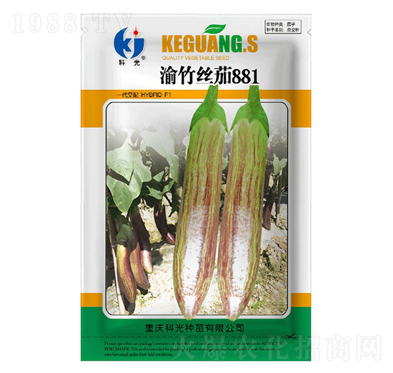 渝竹絲茄881-科光種苗