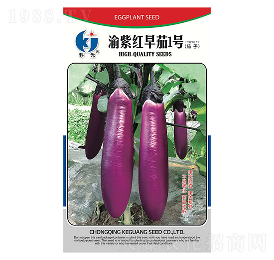 渝紫紅早茄1號(hào)-科光種苗