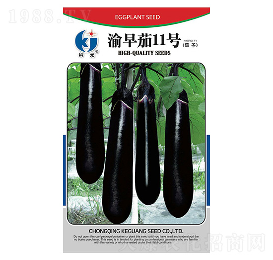 渝茄12號-科光種苗