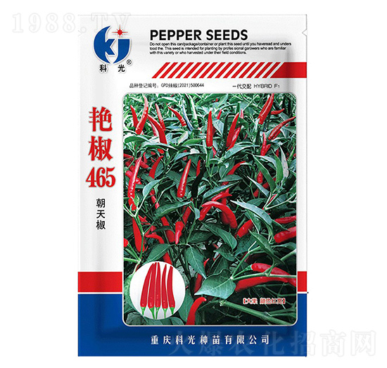 艷椒465-科光種苗