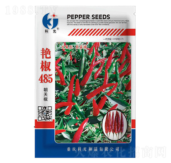 艷椒485-科光種苗