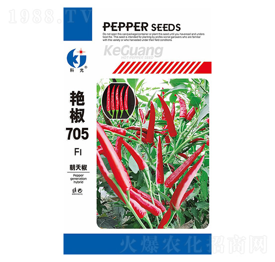 艷椒705-科光種苗