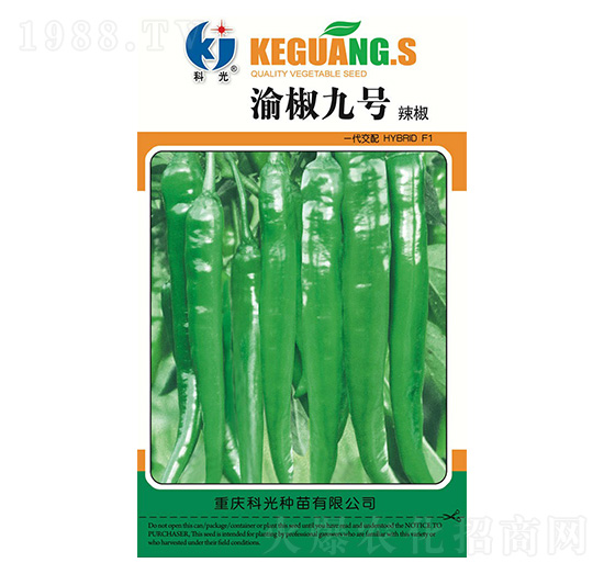 渝椒9號(hào)-科光種苗
