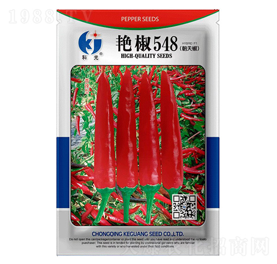 艷椒548-科光種苗