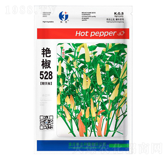 艷椒528-科光種苗
