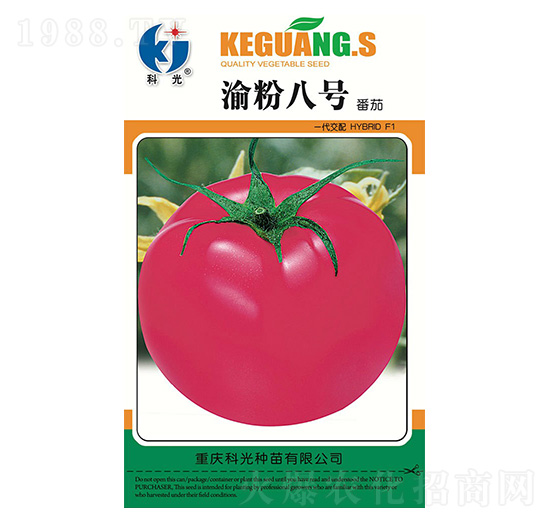 渝粉8號-科光種苗
