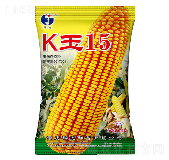 K玉15-科光種苗