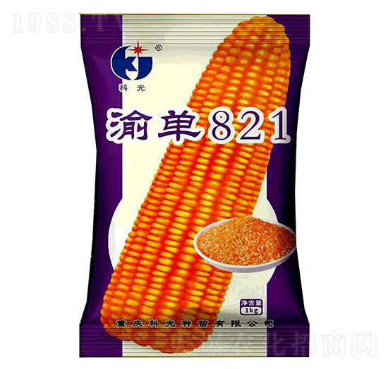 渝單821-科光種苗