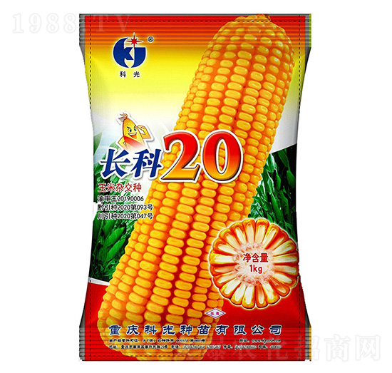 長(zhǎng)科20-科光種苗