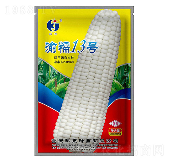 渝糯13號-科光種苗