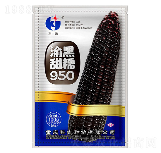 渝黑甜糯950-科光種苗