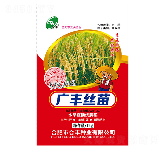 水旱直播優(yōu)質稻-廣豐絲苗-合豐種業(yè)