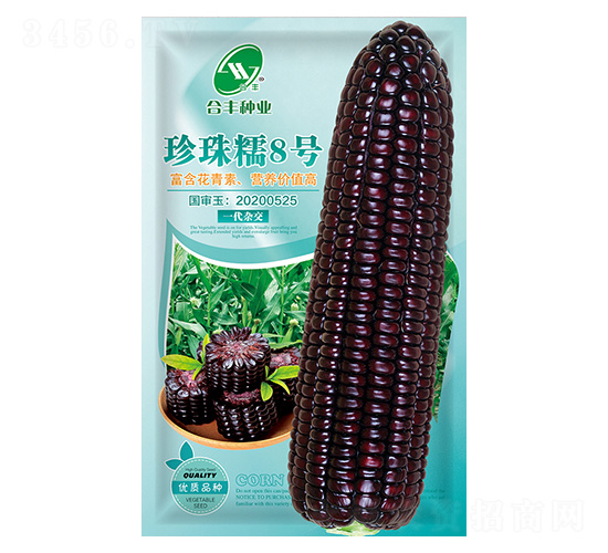 珍珠糯8號-合豐種業(yè)