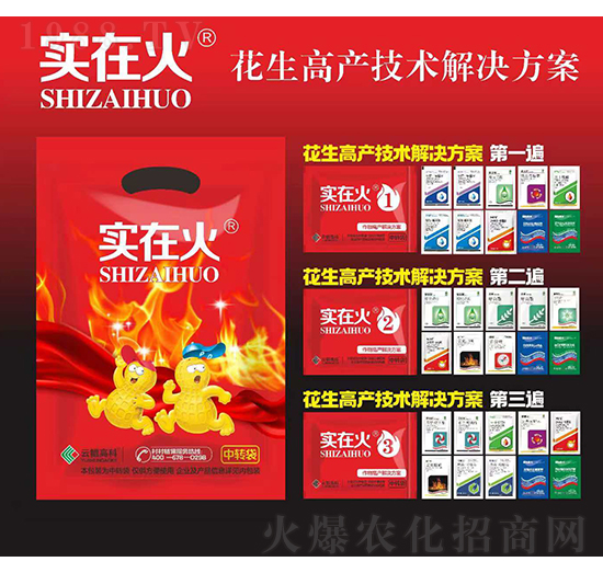 花生高產(chǎn)技術解決方案-實在火-紅太陽