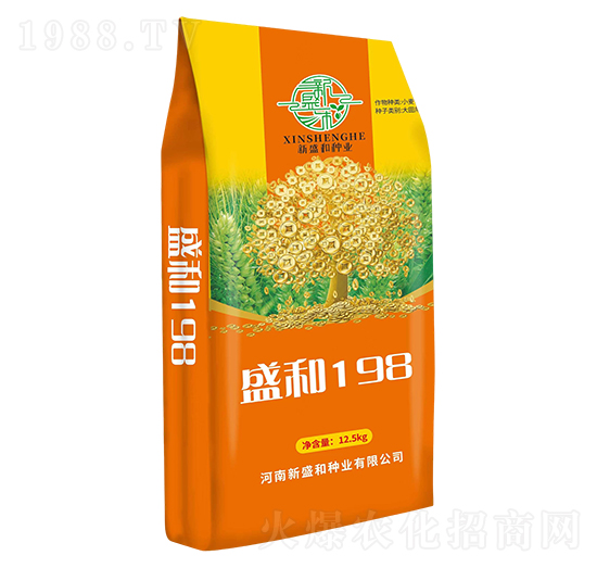 盛和198-小麥種子-紅太陽